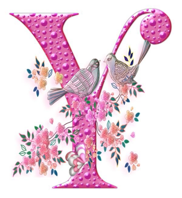 Y name dp stylish wallpaper