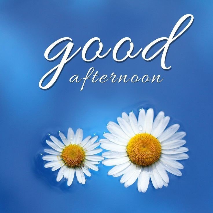 beautiful good afternoon