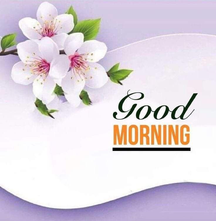 beautiful good morning images