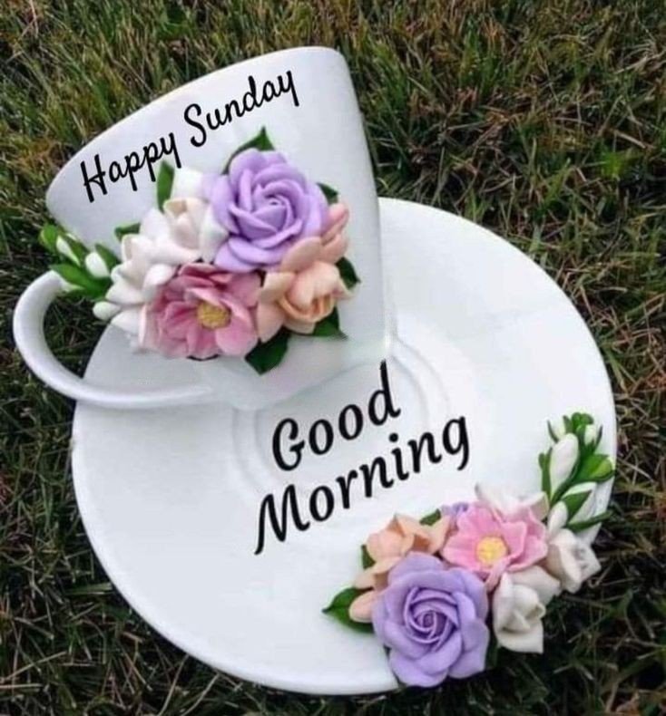 beautiful good morning in bengali images