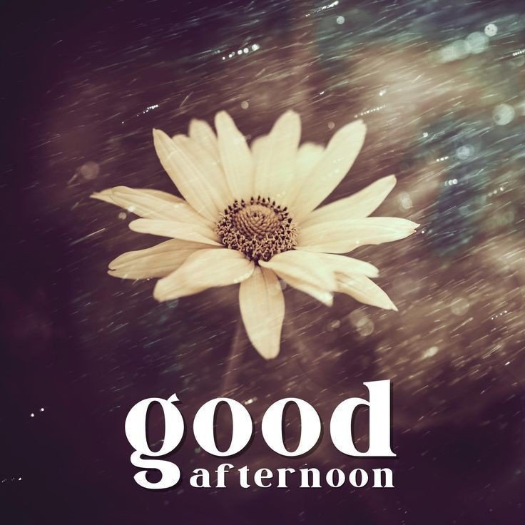 best good afternoon images