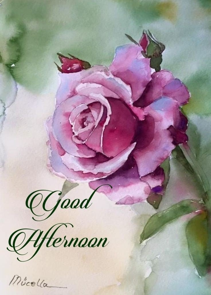 black good afternoon images