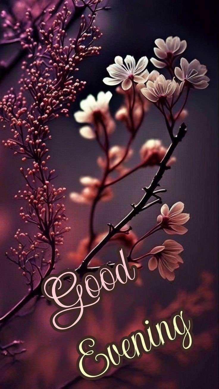 blessed good evening images