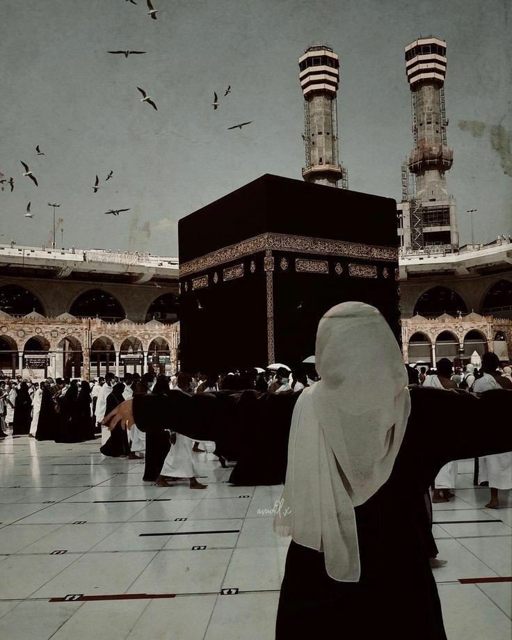 cute aesthetic dp for whatsapp girl