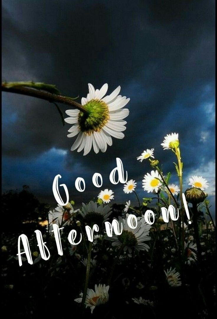 good afternoon images and messages