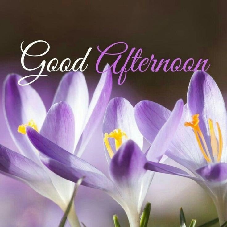 good afternoon images and quotes in hindi