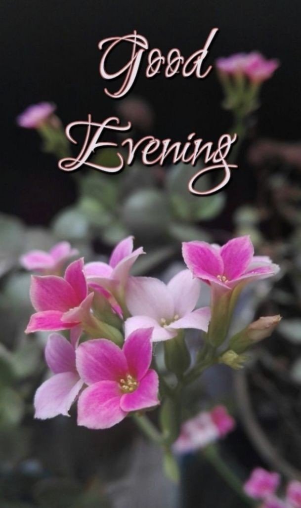 good evening images arabic