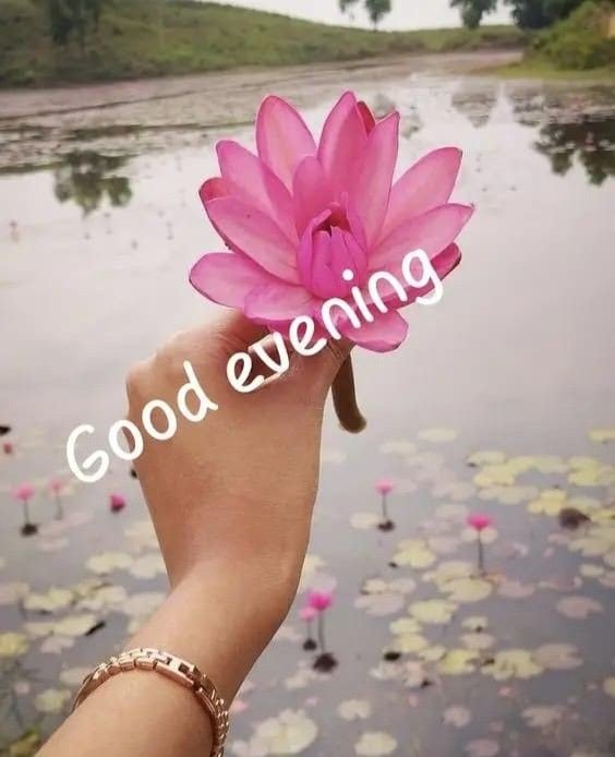 good evening images bengali for whatsapp