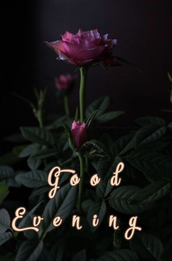 good evening images clipart