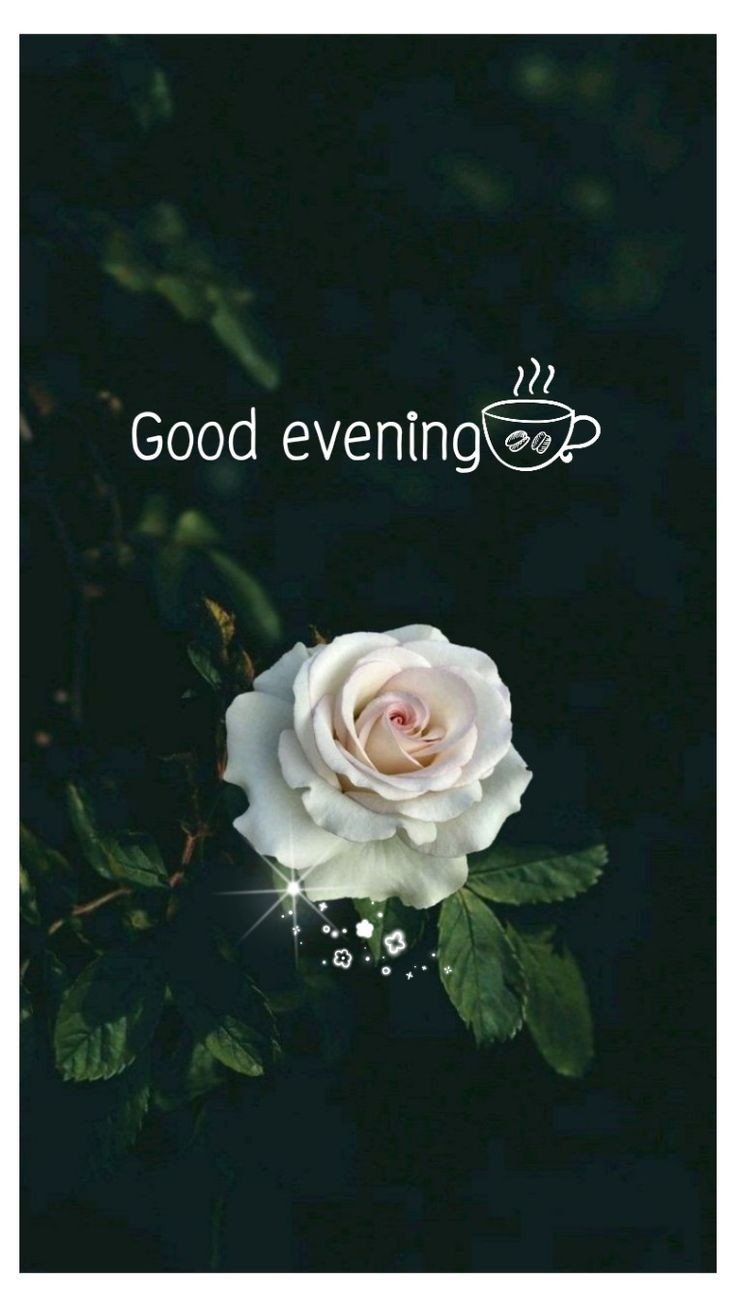 good evening images dear