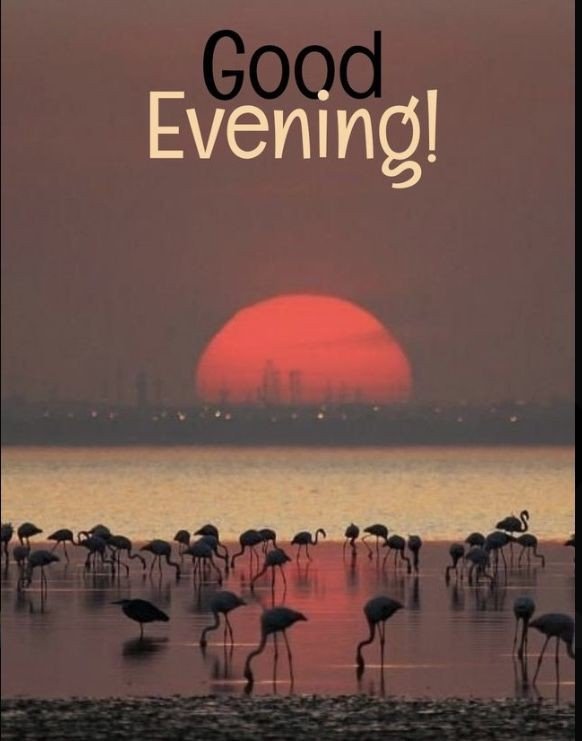 good evening images download for whatsapp