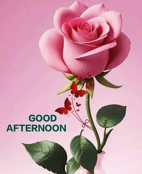 good night images and quotes