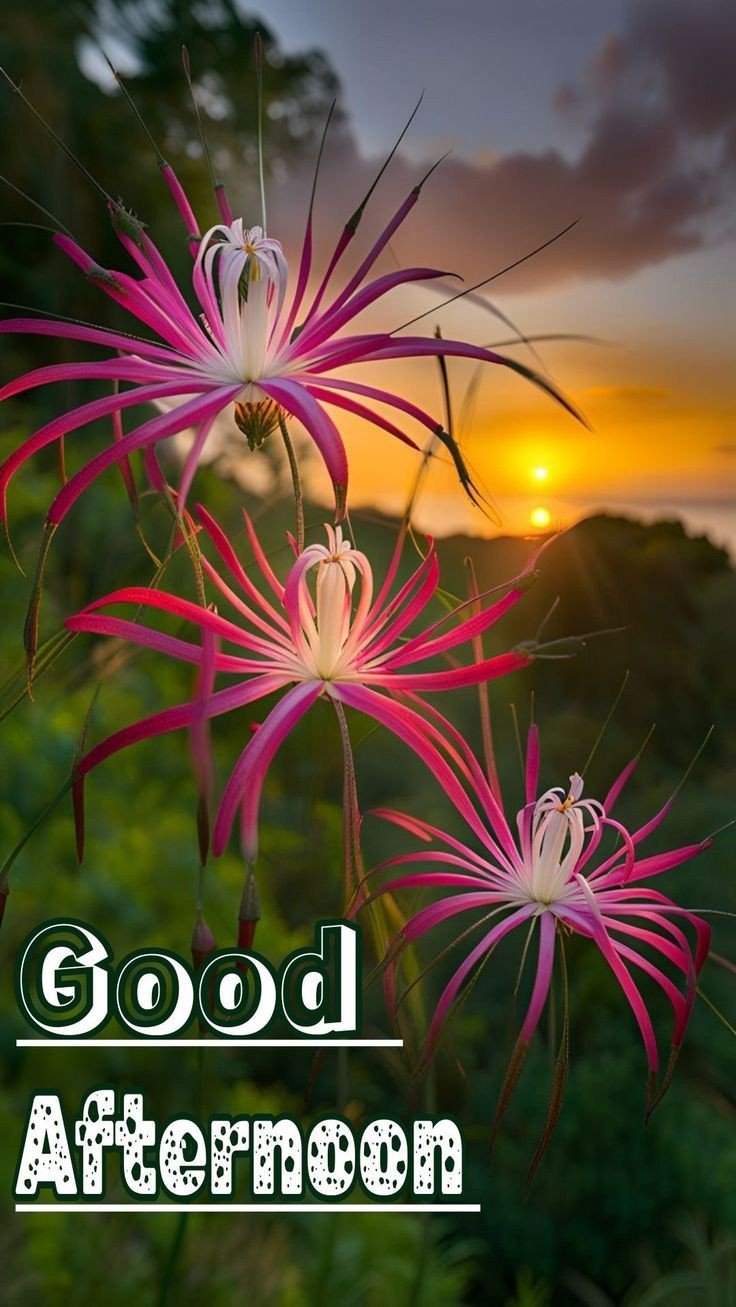 good night pic bengali