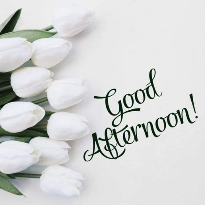 happy sunday good afternoon pic