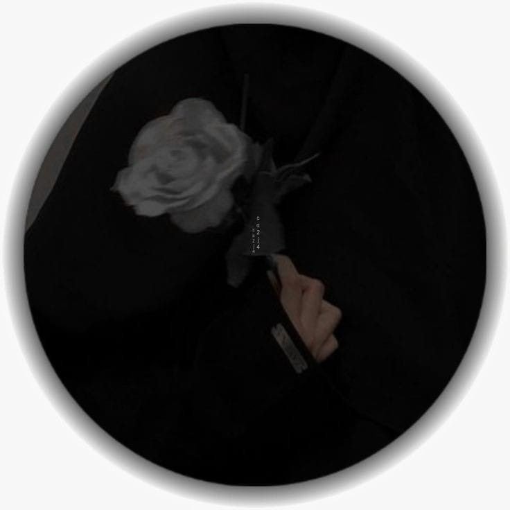 instagram no dp image