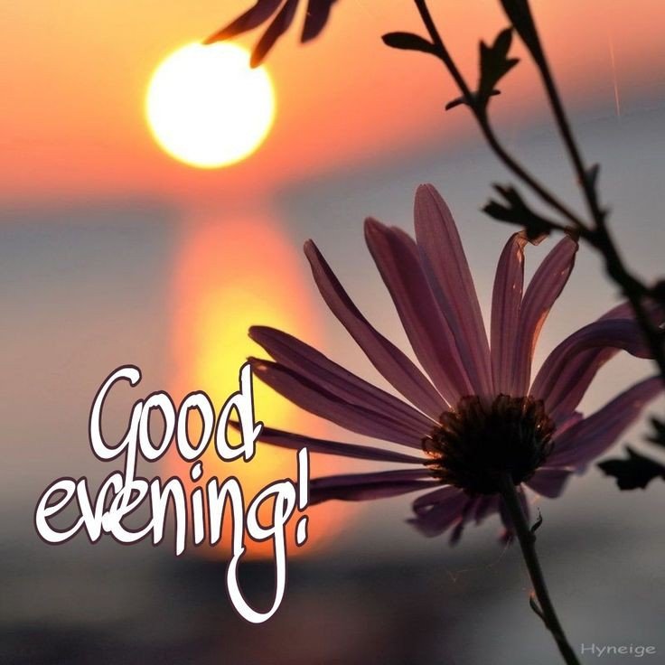 lovely good evening images