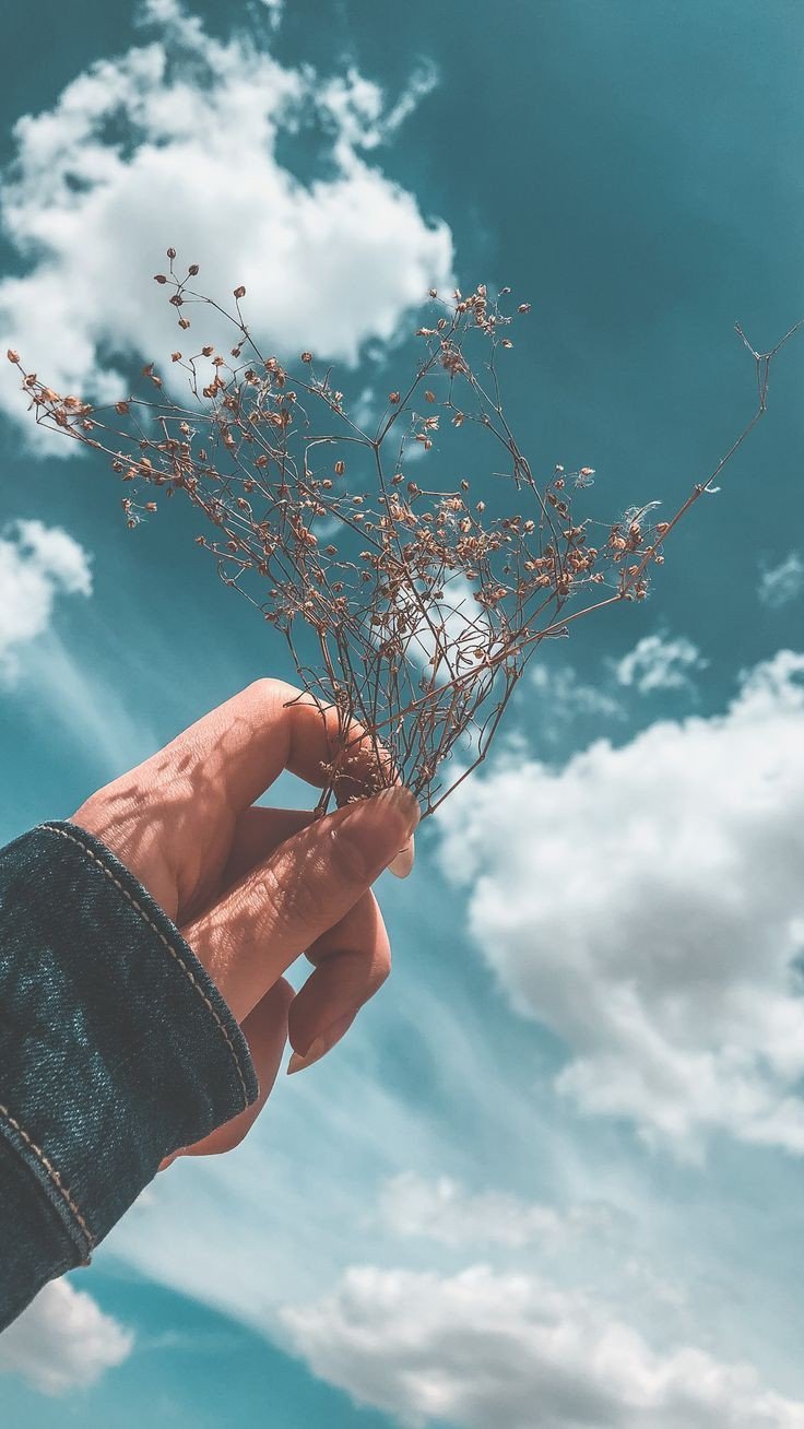 most attractive whatsapp dp images