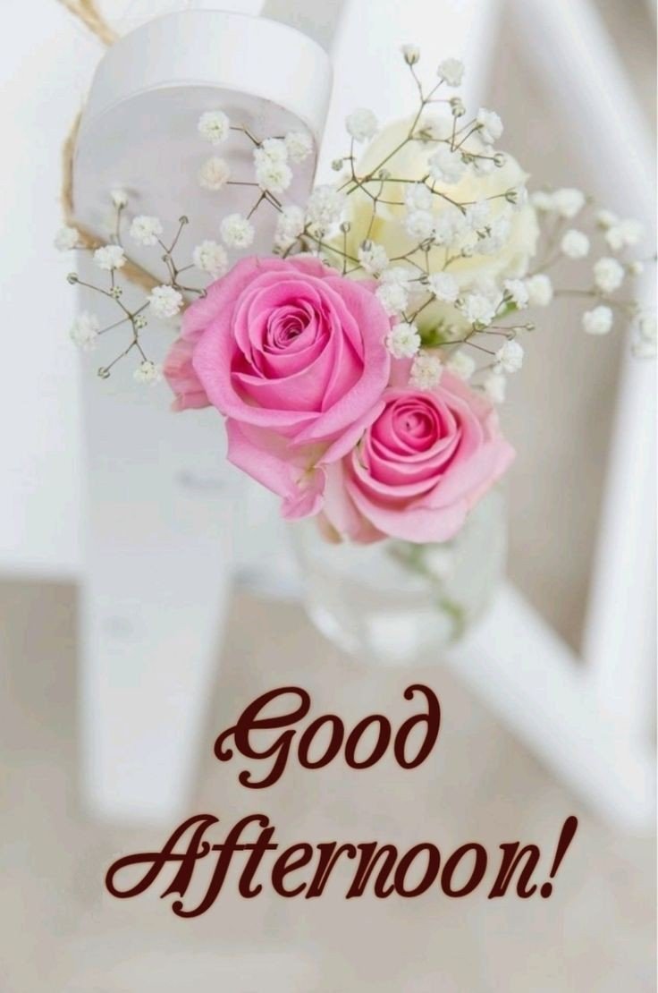 pictures good afternoon