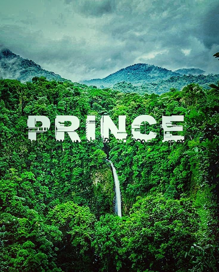 prince 3d name image prince 3d name image