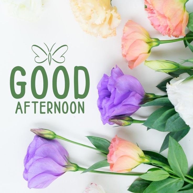 romantic good afternoon photo