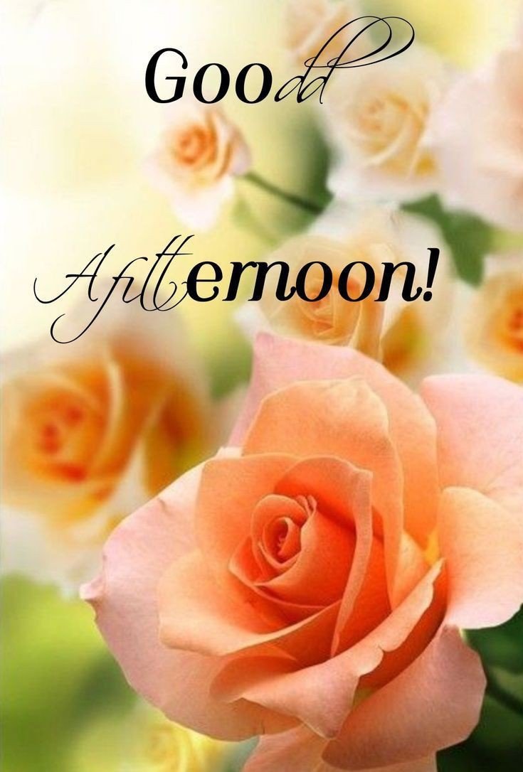 romantic good afternoon pic