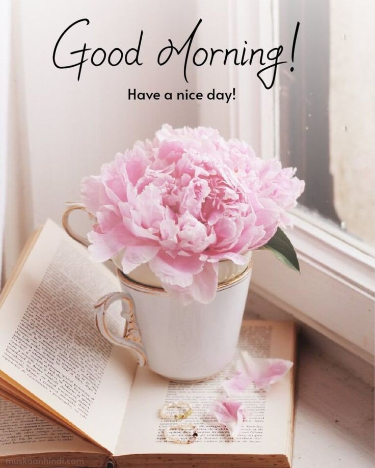 today special good morning images quotes and images