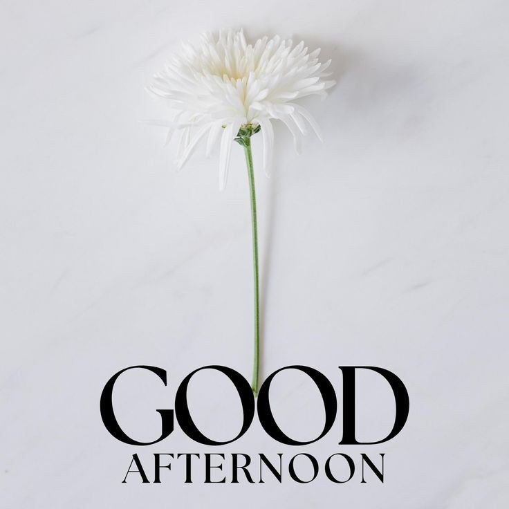 tuesday good afternoon images